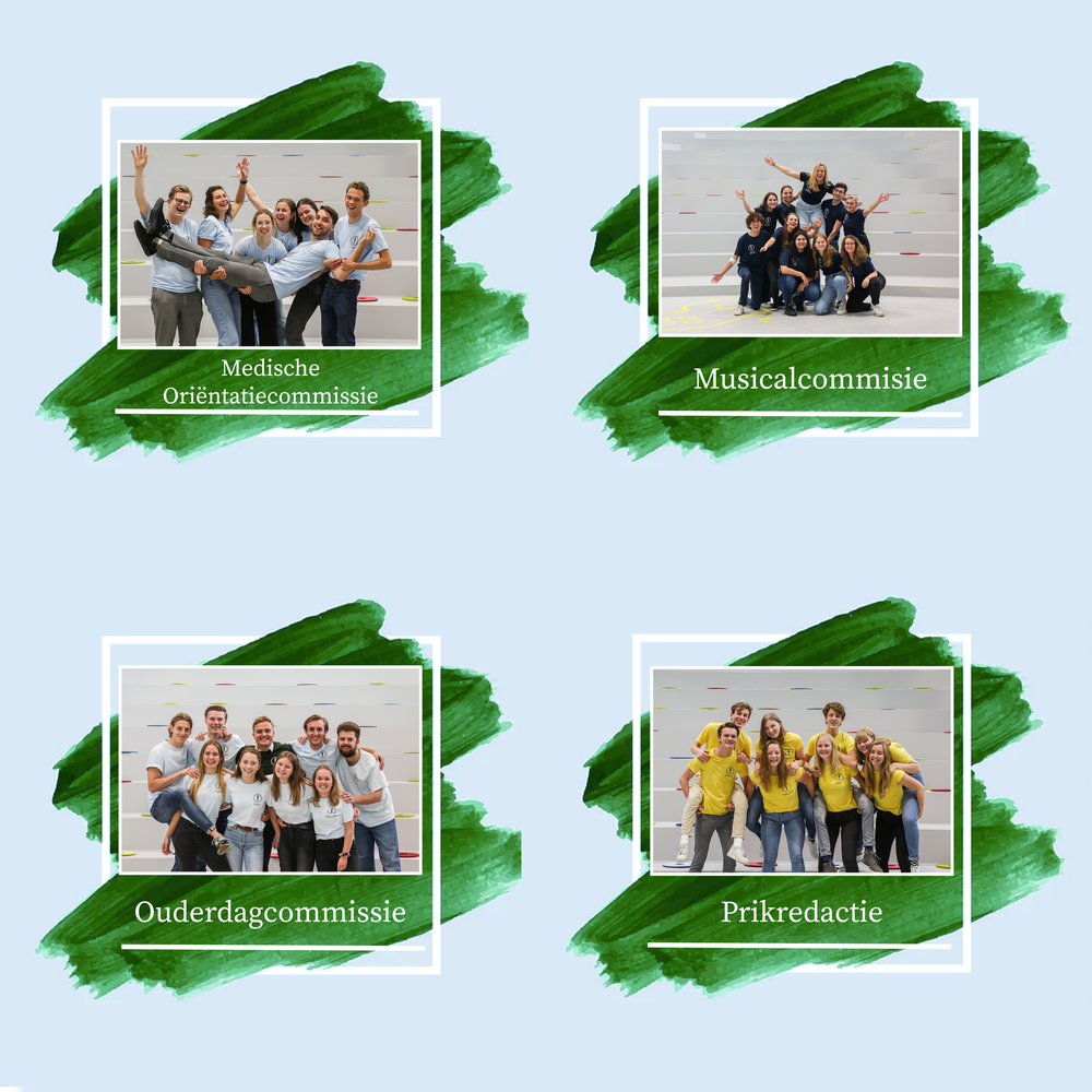 Werkbestand_commissies_hootboard_per_vier_4.png