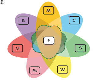 image8.png