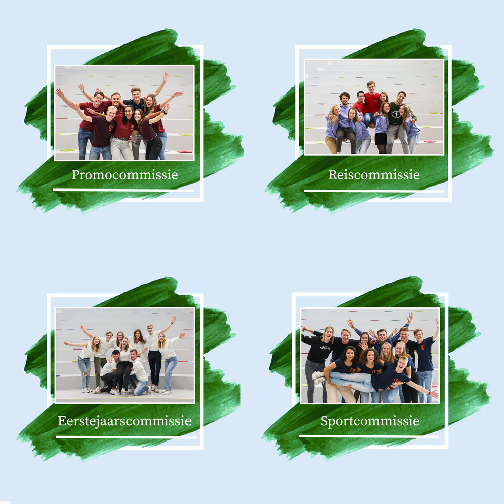 Werkbestand_commissies_hootboard_per_vier_5.png